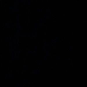 Meet your Posher, Dalton